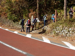 林道ショートカットします