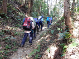 足にやさしい落ち葉の登山道