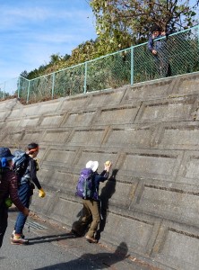 農家の方からハヤトウリのプレゼント