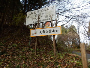 ここから本格的登山道です