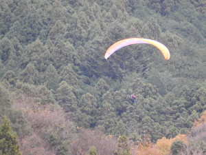 のんびり浮かんでいました