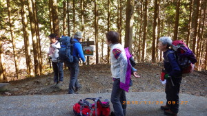 山道に入ります