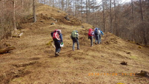 なだらかな防火帯に着きました