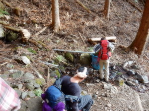 水吞杉の水場にて