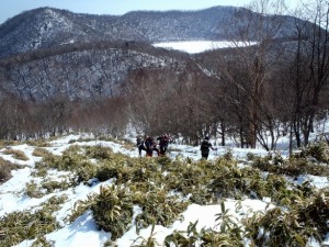 今年は雪が少ない