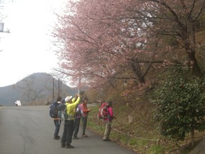 思わずカメラを向ける