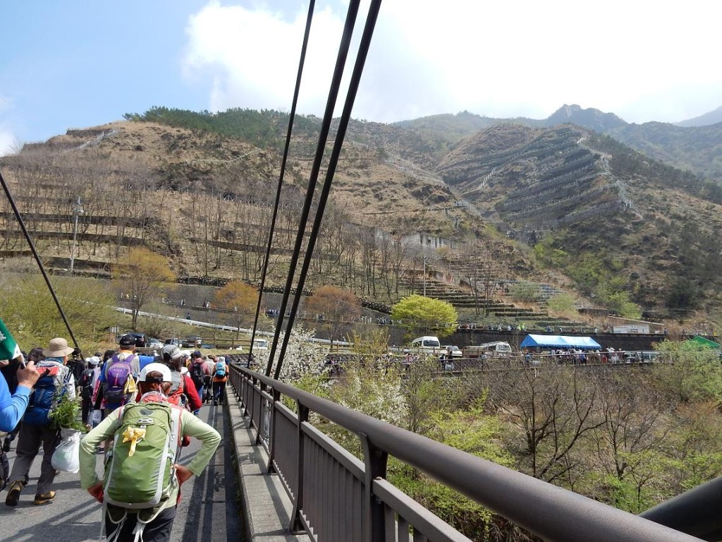 正面左側上部が去年植樹した戸四郎沢です
