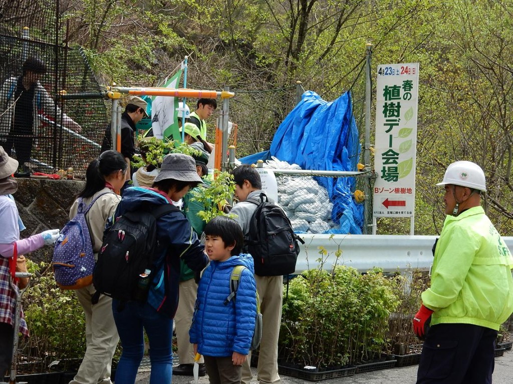 入口で苗木を受け取ります。