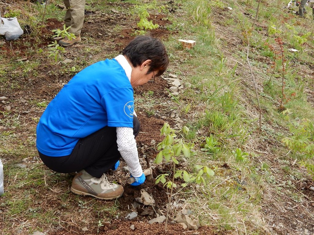 「元気に育ってネ」祈りを込めて土をかぶせます。