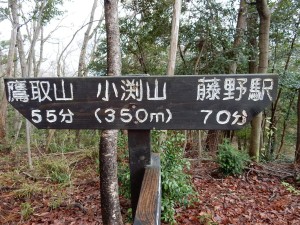 ⑬は「小渕山」という山頂標識があります。