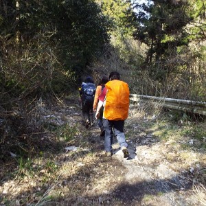 下山は荒れた林道が続きます。