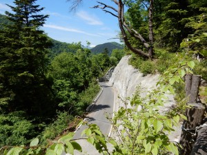 山腹をトラバースしながら林道とクロスします