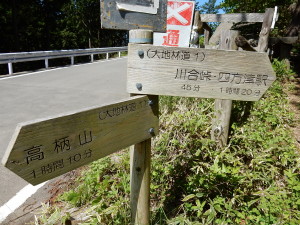 新旧の大地峠山道と林道の鉢合わせ