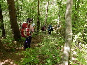 稜線を吹き抜ける風が心地良い