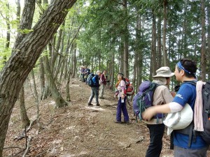 ここも細長～いピーク。鳥屋山（８０８ｍ）