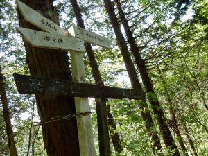 朽ち果てた標識と新しい標識