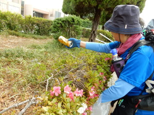 早速、空き缶回収