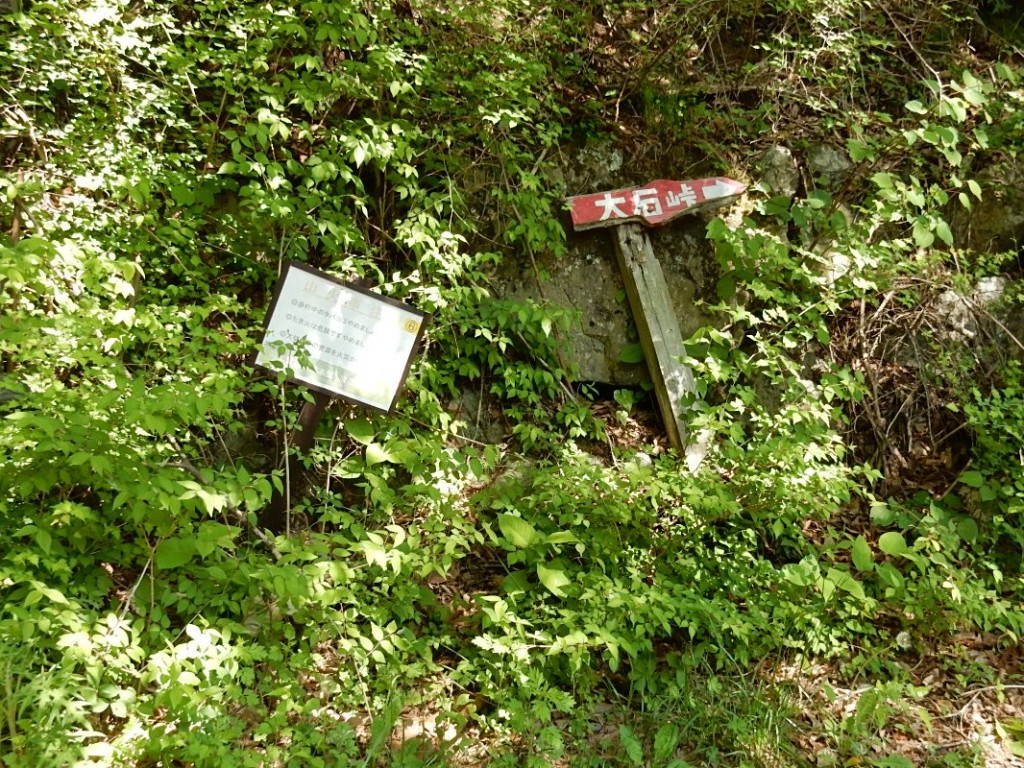 夏には草藪で埋もれそうな表識 