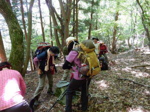 樹林帯のなかで最初の休憩ポイント 
