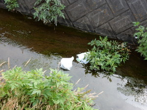 残念ながら、これは回収できませんでした。