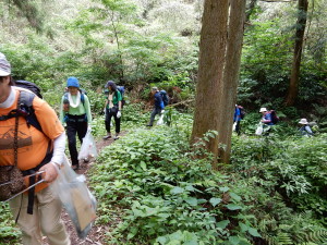 山道に入るとゴミは全くありません。