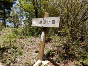 雪刀ヶ岳のピークは稜線から少し入ります。 