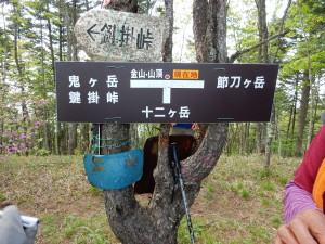 なだらかな山頂の金山から十二ヶ岳に向かいます 