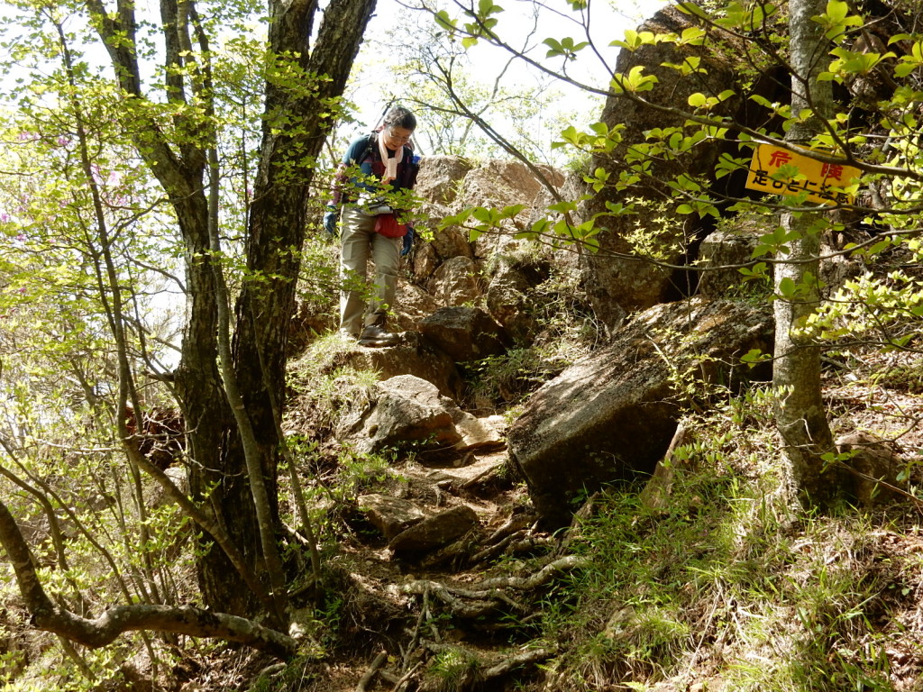 まだまだ続きます。 