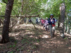 急降下の後のなだらかな優しい尾根道 