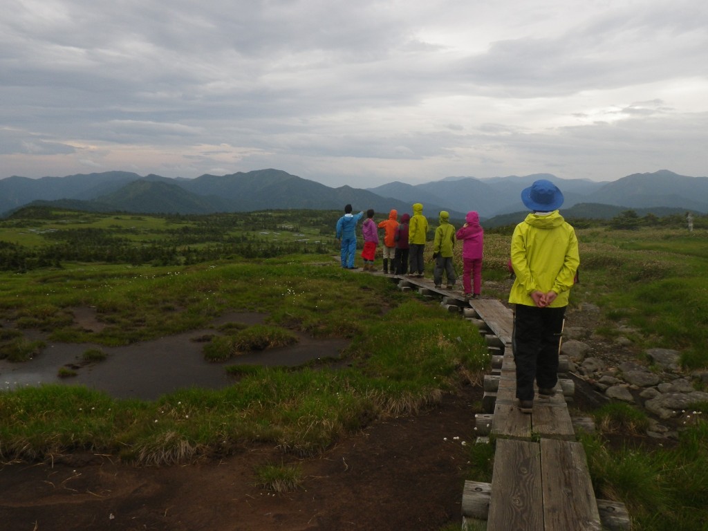 翌日は生憎の天気。カッパに身を包み湿原に最後の別れを