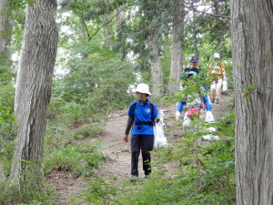 ゴミはありません。