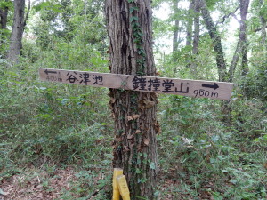 鐘撞堂山から谷津池周遊コースに行きます。