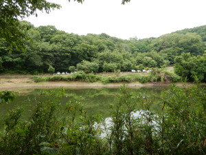 谷津池です。駐車場があります。