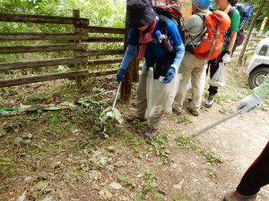 やっぱりありました。