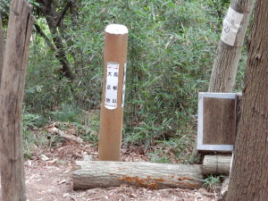 高根山方面にいきます。