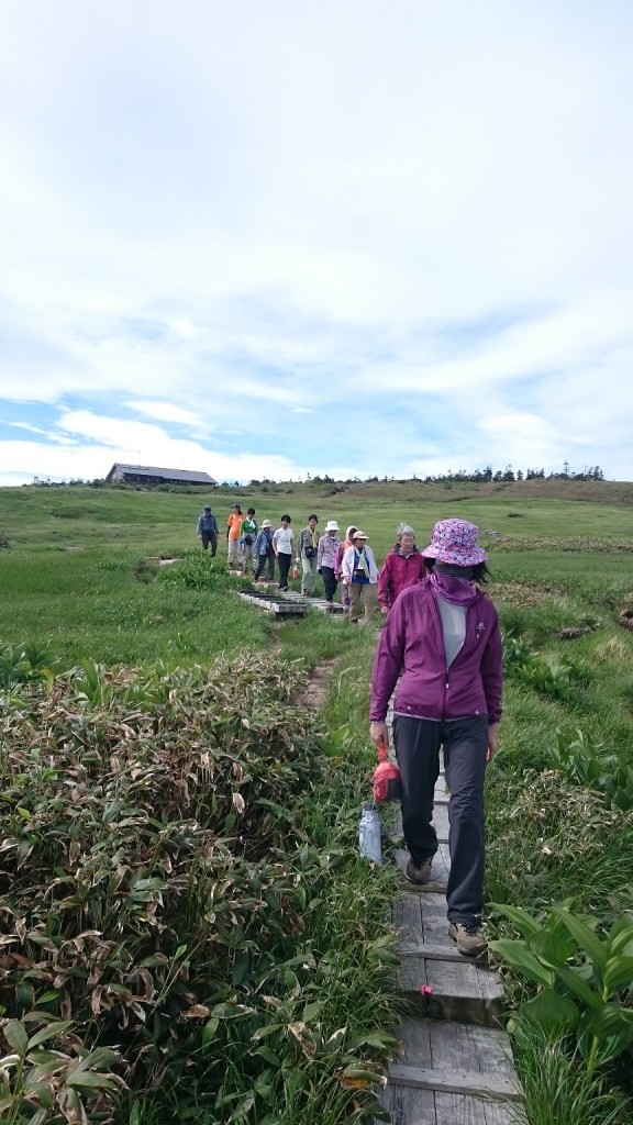 重い荷物を置いて湿地を散策