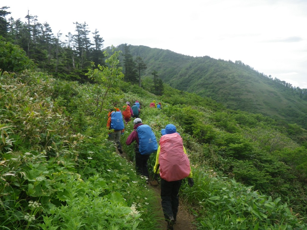 足元に気を付けながら来た道を下って行きます