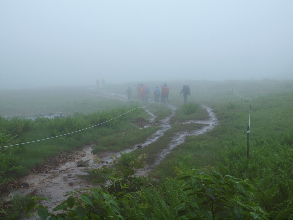 でも結局最後はみんな雨に包まれました「ゴール」