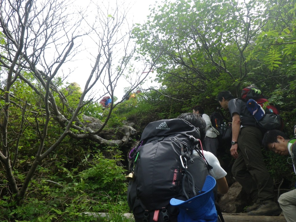 最後の急登を越えると。。。