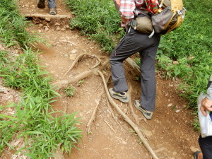 歩幅は小さくネ。広いと疲れますよ