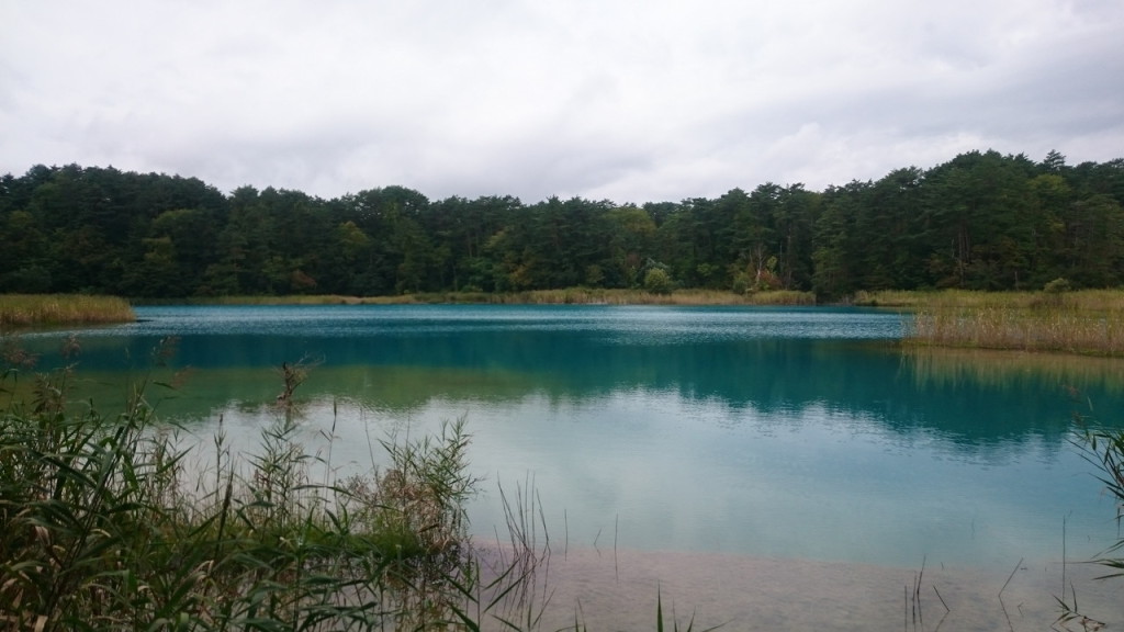 美しい沼が・・・