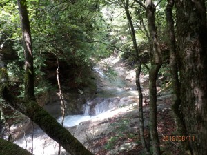 滝見台からの眺めです