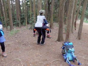 ザックやポールを補助にして背負う。
