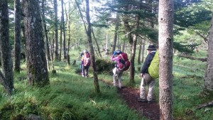 あともう少し、ラストスパート