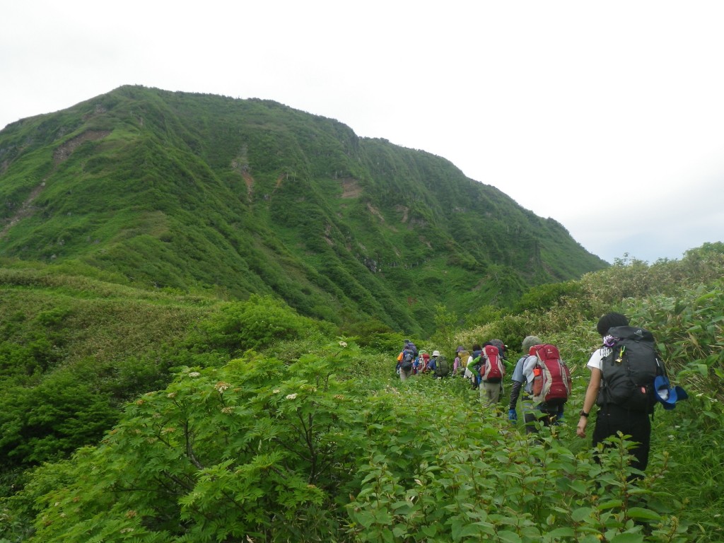 目指す頂上まであと少し！