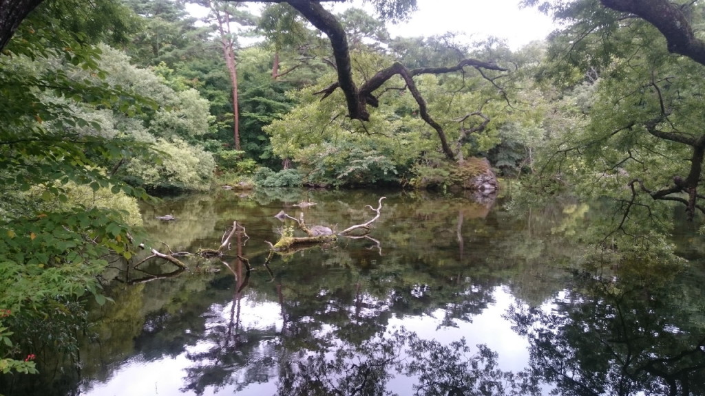 鏡のような水面