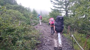 頭上を覆う木々も減ってきました