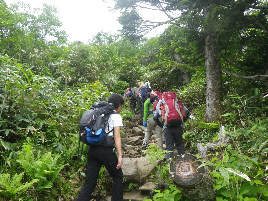 蒸し暑さに耐えながら足を進めます