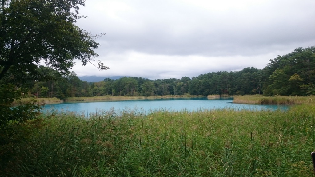 次々に現れます。