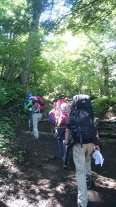 木々の生い茂る中を黙々と登ります